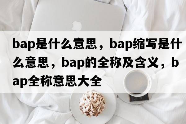 bap是什么意思，bap縮寫(xiě)是什么意思，bap的全稱(chēng)及含義，bap全稱(chēng)意思大全