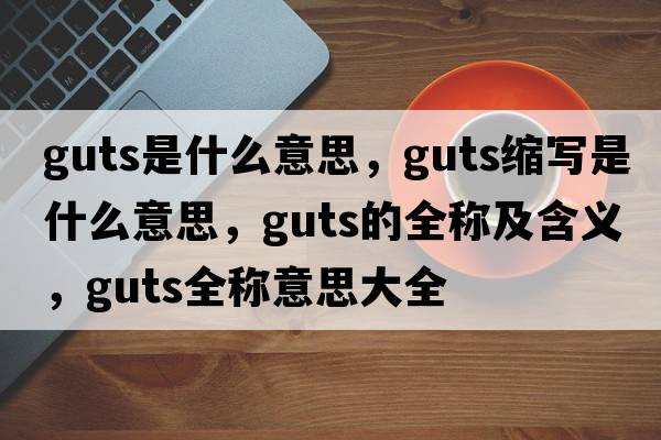 guts是什么意思，guts縮寫(xiě)是什么意思，guts的全稱(chēng)及含義，guts全稱(chēng)意思大全