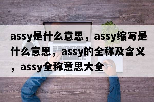 assy是什么意思，assy縮寫(xiě)是什么意思，assy的全稱(chēng)及含義，assy全稱(chēng)意思大全