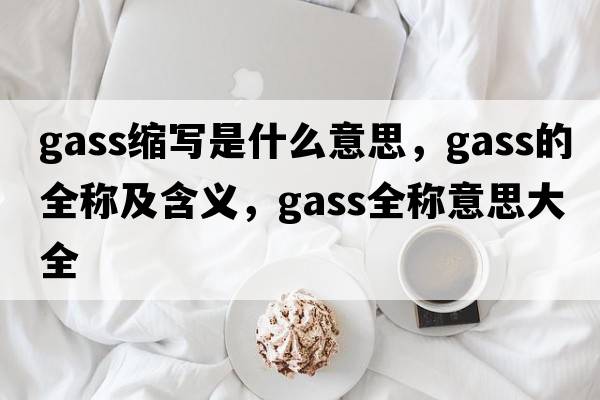 gass縮寫(xiě)是什么意思，gass的全稱(chēng)及含義，gass全稱(chēng)意思大全