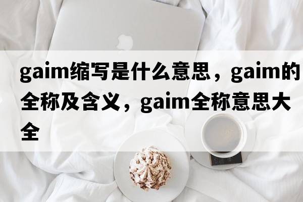 gaim縮寫(xiě)是什么意思，gaim的全稱(chēng)及含義，gaim全稱(chēng)意思大全