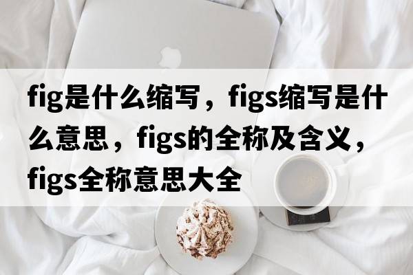 fig是什么縮寫(xiě)，figs縮寫(xiě)是什么意思，figs的全稱(chēng)及含義，figs全稱(chēng)意思大全