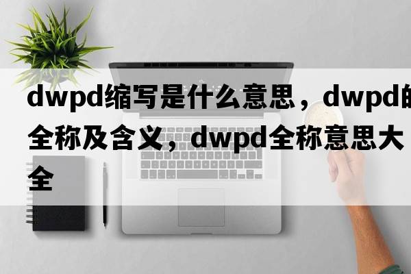 dwpd縮寫(xiě)是什么意思，dwpd的全稱(chēng)及含義，dwpd全稱(chēng)意思大全