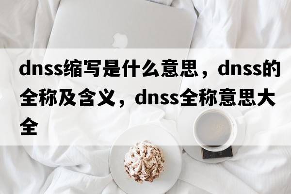 dnss縮寫(xiě)是什么意思，dnss的全稱(chēng)及含義，dnss全稱(chēng)意思大全