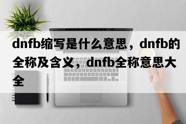 dnfb縮寫(xiě)是什么意思，dnfb的全稱(chēng)及含義，dnfb全稱(chēng)意思大全