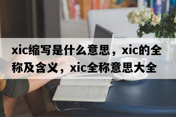 xic縮寫(xiě)是什么意思，xic的全稱(chēng)及含義，xic全稱(chēng)意思大全