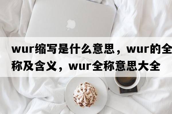 wur縮寫(xiě)是什么意思，wur的全稱(chēng)及含義，wur全稱(chēng)意思大全