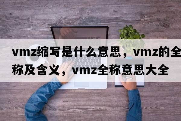 vmz縮寫(xiě)是什么意思，vmz的全稱(chēng)及含義，vmz全稱(chēng)意思大全