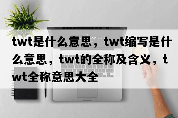 twt是什么意思，twt縮寫(xiě)是什么意思，twt的全稱(chēng)及含義，twt全稱(chēng)意思大全