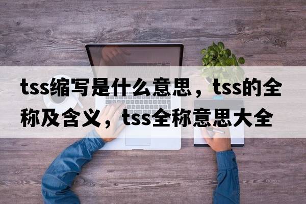 tss縮寫(xiě)是什么意思，tss的全稱(chēng)及含義，tss全稱(chēng)意思大全