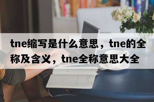 tne縮寫(xiě)是什么意思，tne的全稱(chēng)及含義，tne全稱(chēng)意思大全