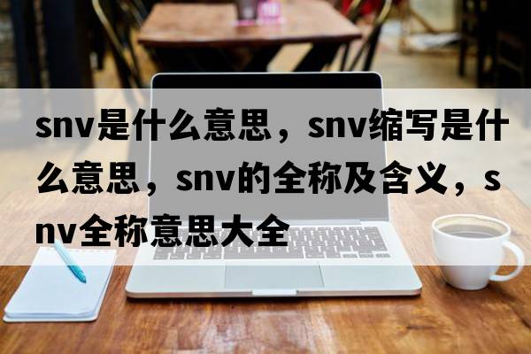 snv是什么意思，snv縮寫(xiě)是什么意思，snv的全稱(chēng)及含義，snv全稱(chēng)意思大全