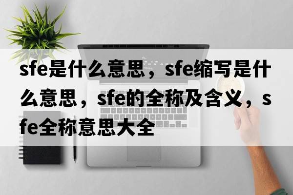 sfe是什么意思，sfe縮寫(xiě)是什么意思，sfe的全稱(chēng)及含義，sfe全稱(chēng)意思大全