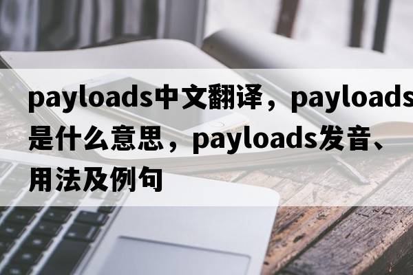 payloads中文翻譯，payloads是什么意思，payloads發(fā)音、用法及例句