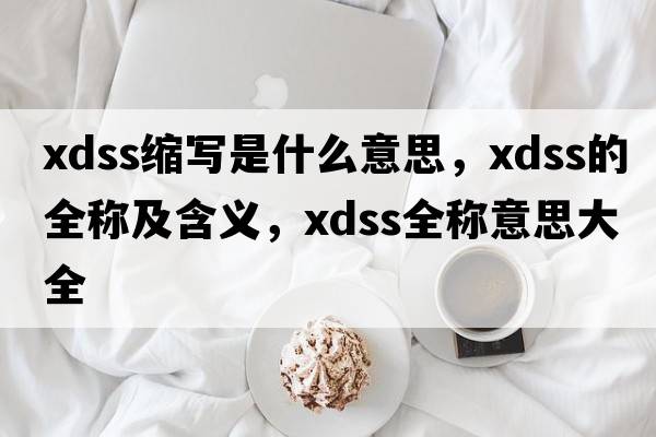 xdss縮寫(xiě)是什么意思，xdss的全稱(chēng)及含義，xdss全稱(chēng)意思大全