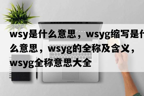 wsy是什么意思，wsyg縮寫(xiě)是什么意思，wsyg的全稱(chēng)及含義，wsyg全稱(chēng)意思大全
