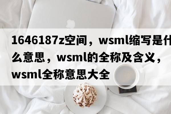 1646187Z空間，wsml縮寫(xiě)是什么意思，wsml的全稱(chēng)及含義，wsml全稱(chēng)意思大全