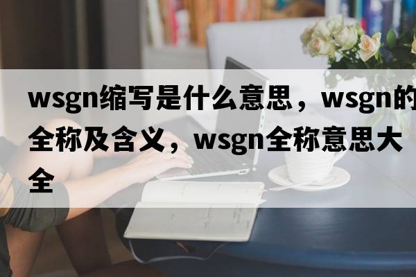 wsgn縮寫(xiě)是什么意思，wsgn的全稱(chēng)及含義，wsgn全稱(chēng)意思大全