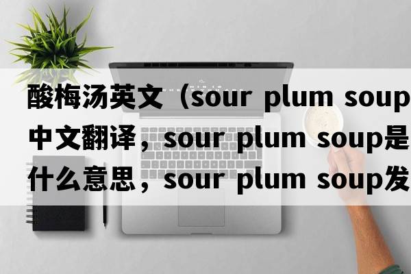 酸梅湯英文（sour plum soup中文翻譯，sour plum soup是什么意思，sour plum soup發(fā)音、用法及例句）