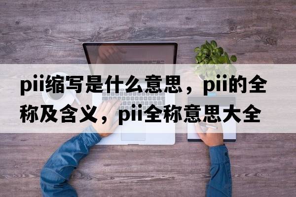 pii縮寫(xiě)是什么意思，pii的全稱(chēng)及含義，pii全稱(chēng)意思大全