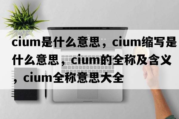 cium是什么意思，cium縮寫(xiě)是什么意思，cium的全稱(chēng)及含義，cium全稱(chēng)意思大全
