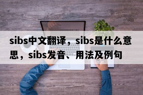 sibs中文翻譯，sibs是什么意思，sibs發(fā)音、用法及例句