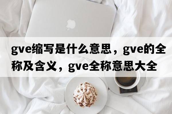 gve縮寫(xiě)是什么意思，gve的全稱(chēng)及含義，gve全稱(chēng)意思大全