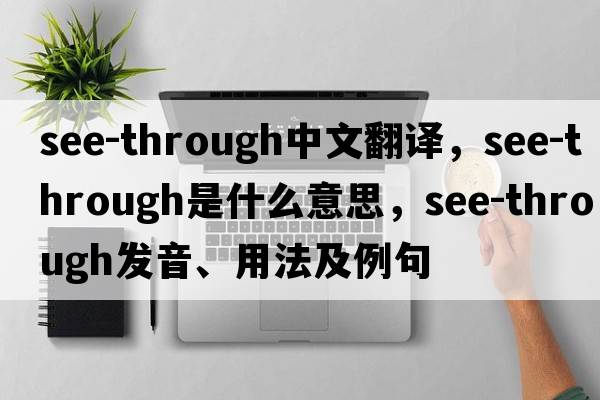 see-through中文翻譯，see-through是什么意思，see-through發(fā)音、用法及例句