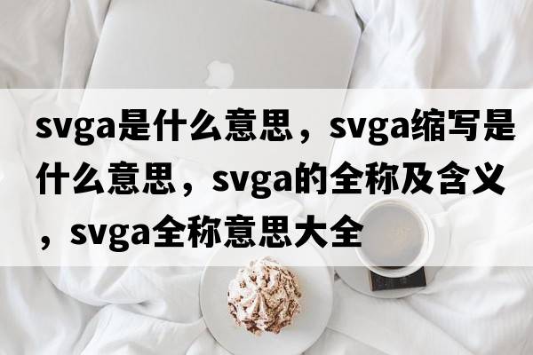 svga是什么意思，svga縮寫(xiě)是什么意思，svga的全稱(chēng)及含義，svga全稱(chēng)意思大全