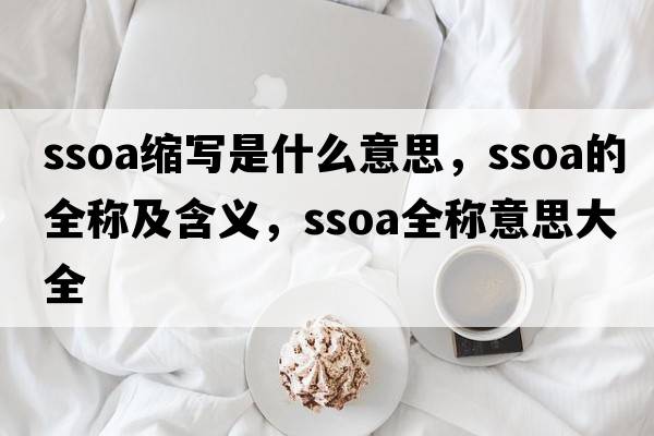 ssoa縮寫(xiě)是什么意思，ssoa的全稱(chēng)及含義，ssoa全稱(chēng)意思大全