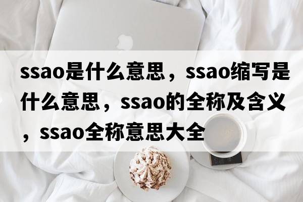 ssao是什么意思，ssao縮寫(xiě)是什么意思，ssao的全稱(chēng)及含義，ssao全稱(chēng)意思大全
