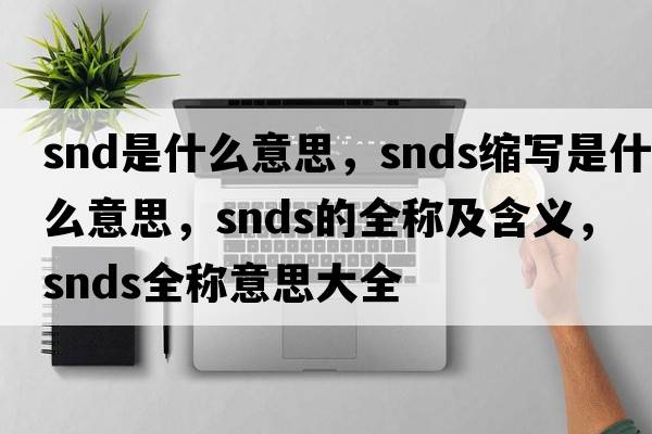 snd是什么意思，snds縮寫(xiě)是什么意思，snds的全稱(chēng)及含義，snds全稱(chēng)意思大全
