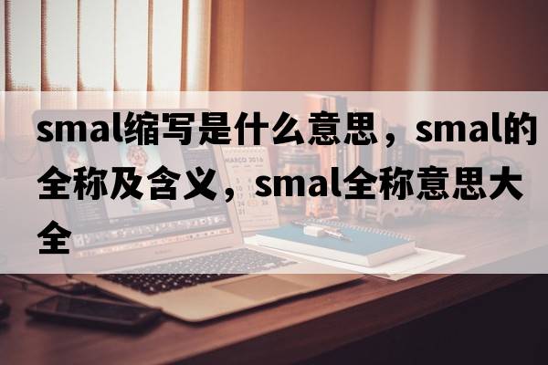 smal縮寫(xiě)是什么意思，smal的全稱(chēng)及含義，smal全稱(chēng)意思大全