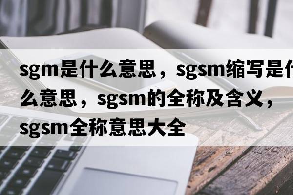 sgm是什么意思，sgsm縮寫(xiě)是什么意思，sgsm的全稱(chēng)及含義，sgsm全稱(chēng)意思大全