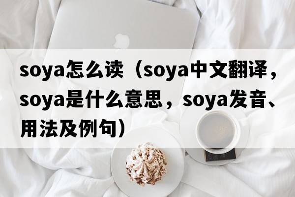 soya怎么讀（soya中文翻譯，soya是什么意思，soya發(fā)音、用法及例句）