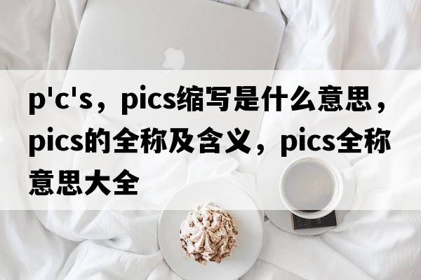 p'c's，pics縮寫(xiě)是什么意思，pics的全稱(chēng)及含義，pics全稱(chēng)意思大全