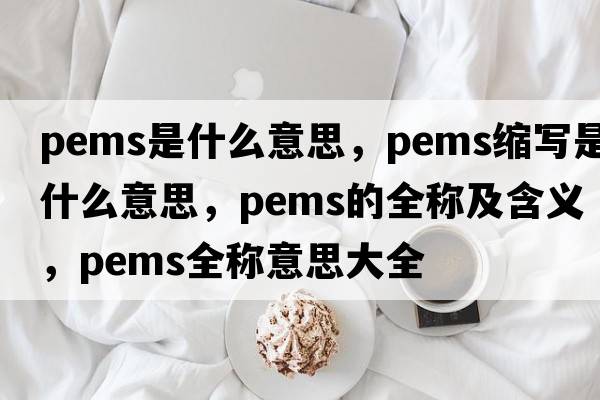 pems是什么意思，pems縮寫(xiě)是什么意思，pems的全稱(chēng)及含義，pems全稱(chēng)意思大全