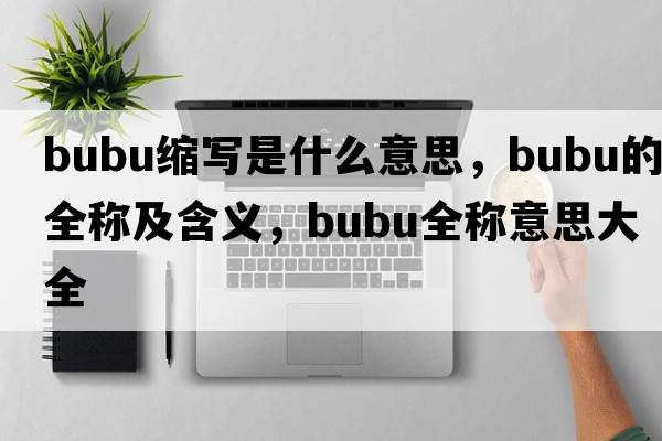 bubu縮寫(xiě)是什么意思，bubu的全稱(chēng)及含義，bubu全稱(chēng)意思大全