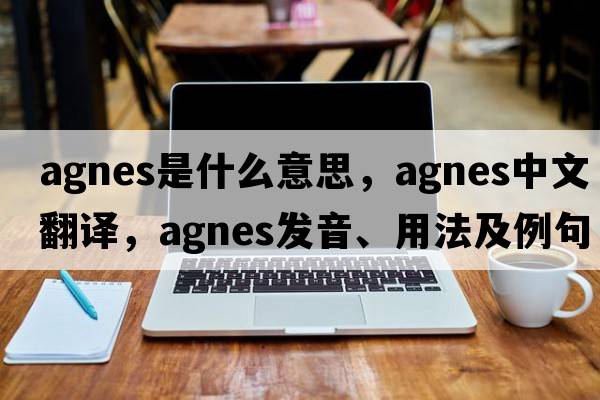 agnes是什么意思，agnes中文翻譯，agnes發(fā)音、用法及例句