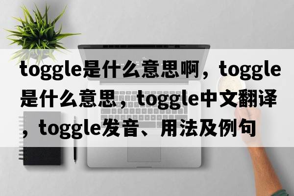toggle是什么意思啊，toggle是什么意思，toggle中文翻譯，toggle發(fā)音、用法及例句