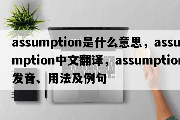 assumption是什么意思，assumption中文翻譯，assumption發(fā)音、用法及例句