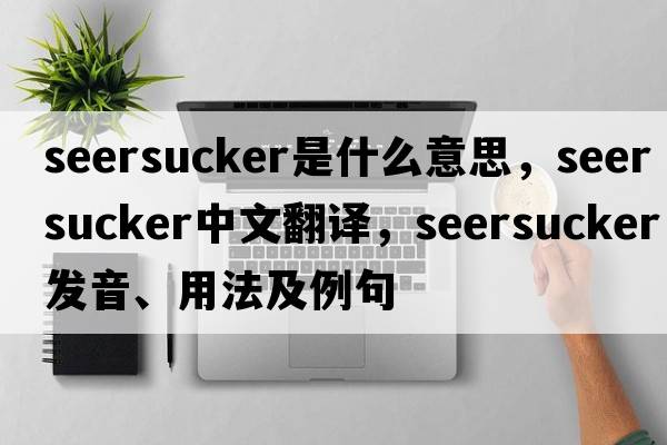seersucker是什么意思，seersucker中文翻譯，seersucker發(fā)音、用法及例句