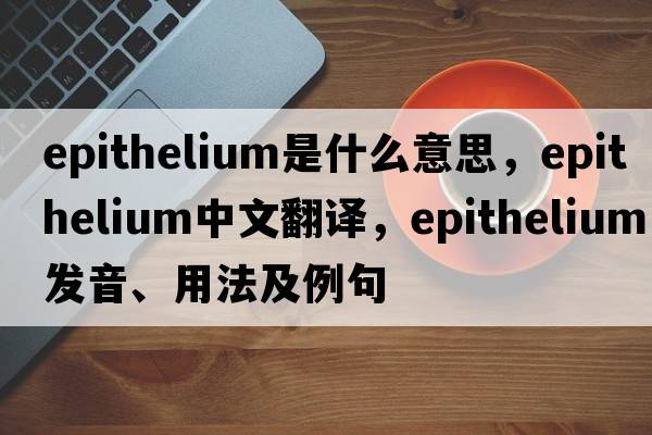 epithelium是什么意思，epithelium中文翻譯，epithelium發(fā)音、用法及例句