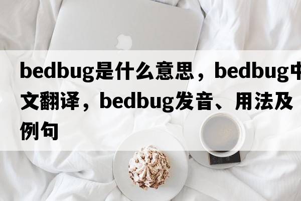 bedbug是什么意思，bedbug中文翻譯，bedbug發(fā)音、用法及例句
