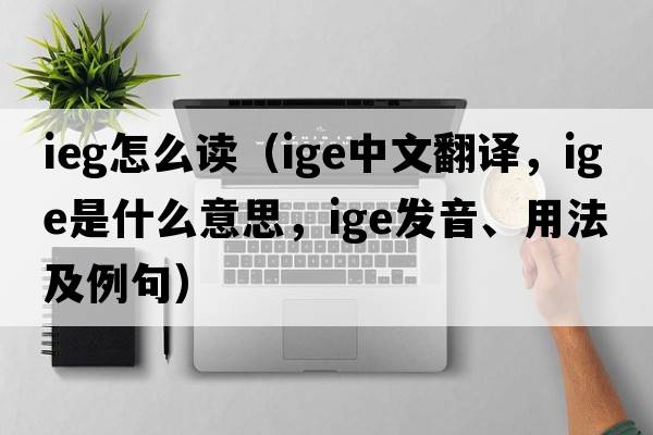 ieg怎么讀（ige中文翻譯，ige是什么意思，ige發(fā)音、用法及例句）