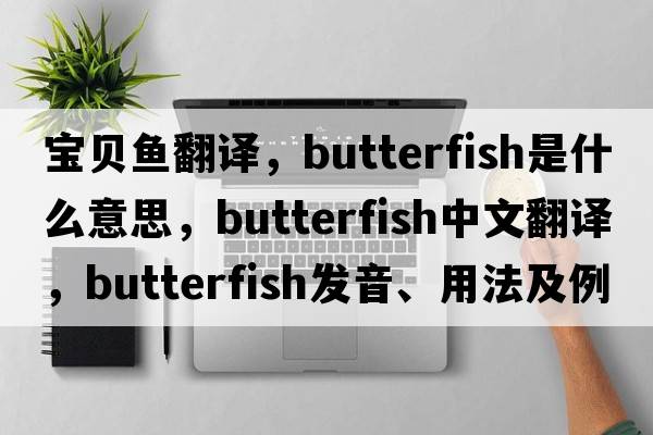 寶貝魚(yú)翻譯，butterfish是什么意思，butterfish中文翻譯，butterfish發(fā)音、用法及例句