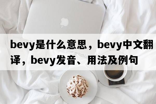 bevy是什么意思，bevy中文翻譯，bevy發(fā)音、用法及例句