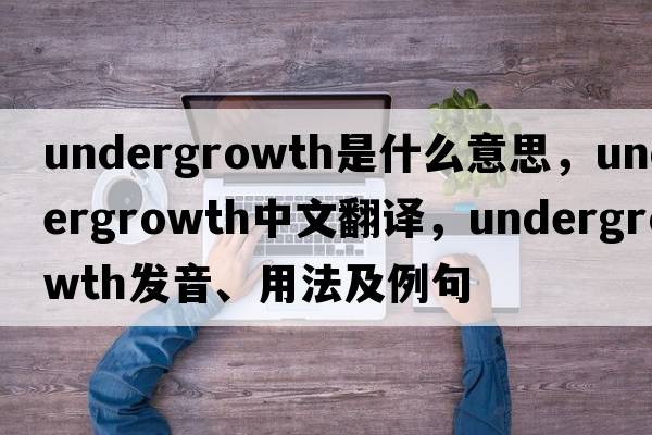 undergrowth是什么意思，undergrowth中文翻譯，undergrowth發(fā)音、用法及例句