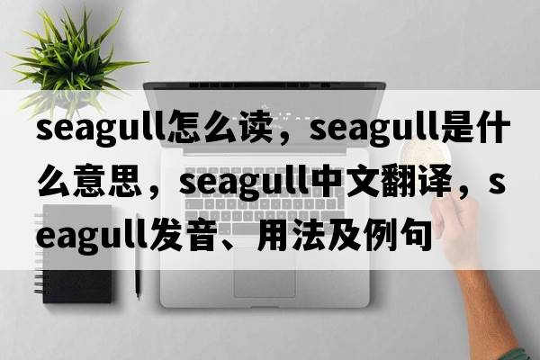 seagull怎么讀，seagull是什么意思，seagull中文翻譯，seagull發(fā)音、用法及例句