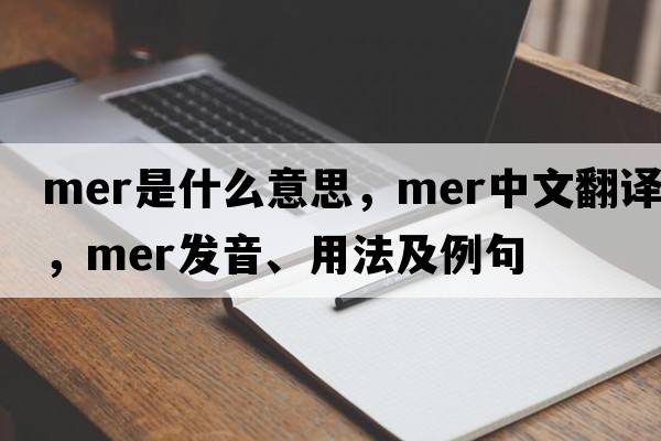 mer是什么意思，mer中文翻譯，mer發(fā)音、用法及例句